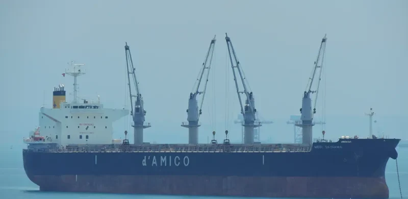 MEDI OKINAWA Bulk Carrier IMO 9514389 photo 7