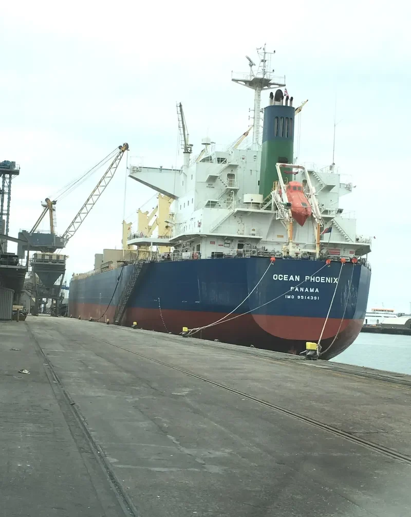 PROSPER PHOENIX Bulk Carrier IMO 9514391