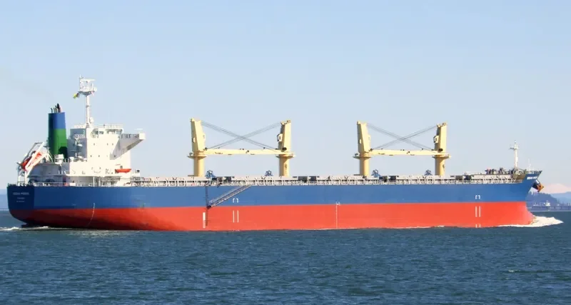 PROSPER PHOENIX Bulk Carrier IMO 9514391 photo 9