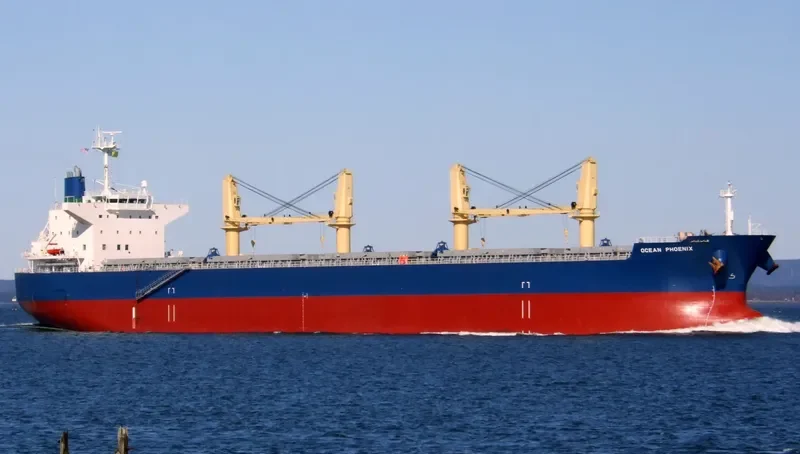 PROSPER PHOENIX Bulk Carrier IMO 9514391 photo 10