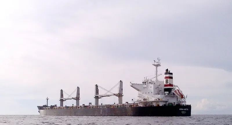 ANNA META Bulk Carrier IMO 9514406 photo 2
