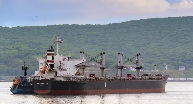 ANNA META Bulk Carrier IMO 9514406 photo 5