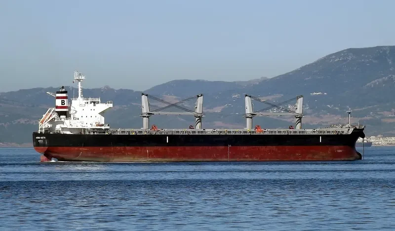 ANNA META Bulk Carrier IMO 9514406 photo 8