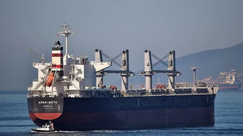 ANNA META Bulk Carrier IMO 9514406 photo 9