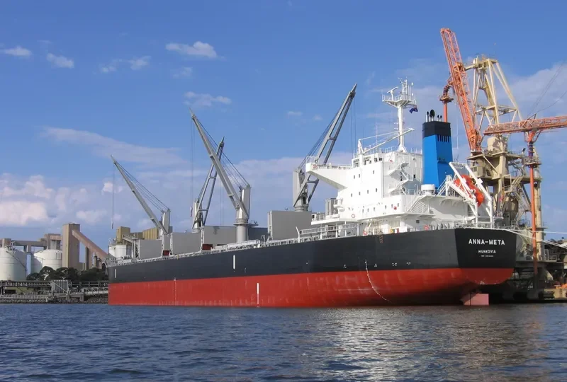 ANNA META Bulk Carrier IMO 9514406 photo 10