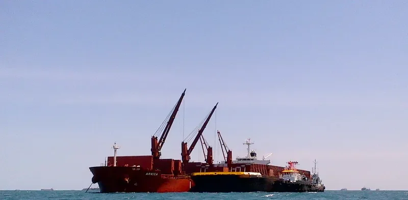 ARNICA Bulk Carrier IMO 9514418 photo 2