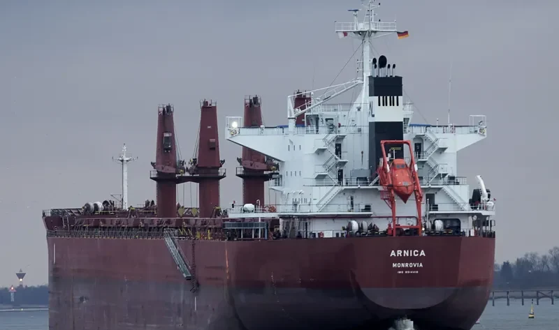 ARNICA Bulk Carrier IMO 9514418 photo 4
