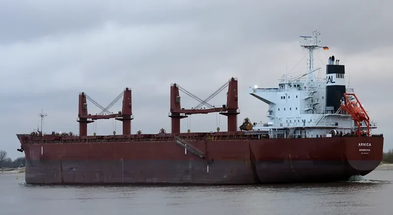 ARNICA Bulk Carrier IMO 9514418 photo 5