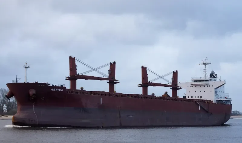 ARNICA Bulk Carrier IMO 9514418 photo 6