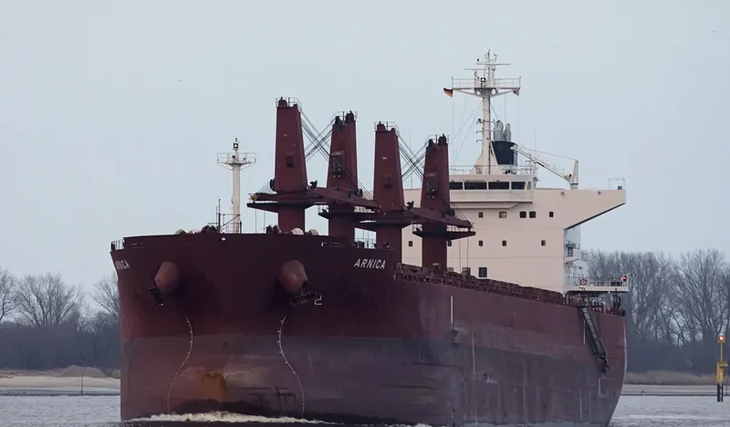 ARNICA Bulk Carrier IMO 9514418 photo 7