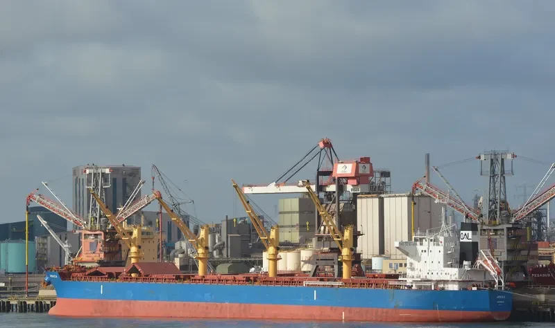ARNICA Bulk Carrier IMO 9514418 photo 8