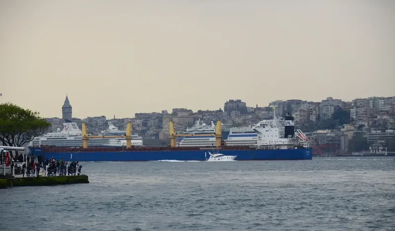 ARNICA Bulk Carrier IMO 9514418 photo 9