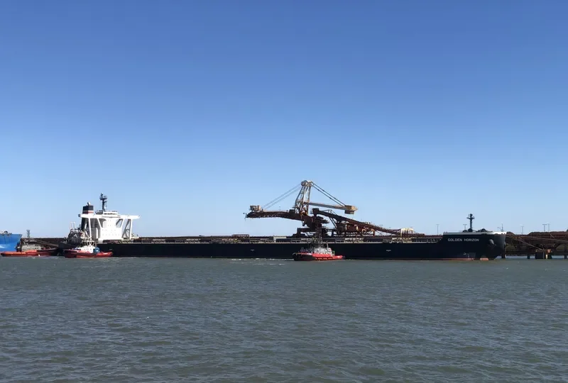 GOLDEN HORIZON Bulk Carrier IMO 9514509 photo 4