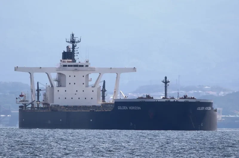 GOLDEN HORIZON Bulk Carrier IMO 9514509 photo 6