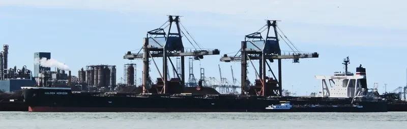 GOLDEN HORIZON Bulk Carrier IMO 9514509 photo 8