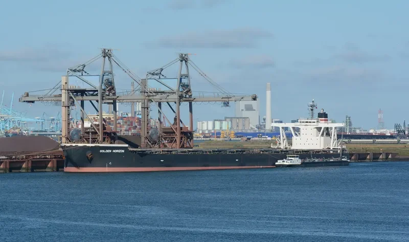 GOLDEN HORIZON Bulk Carrier IMO 9514509 photo 10
