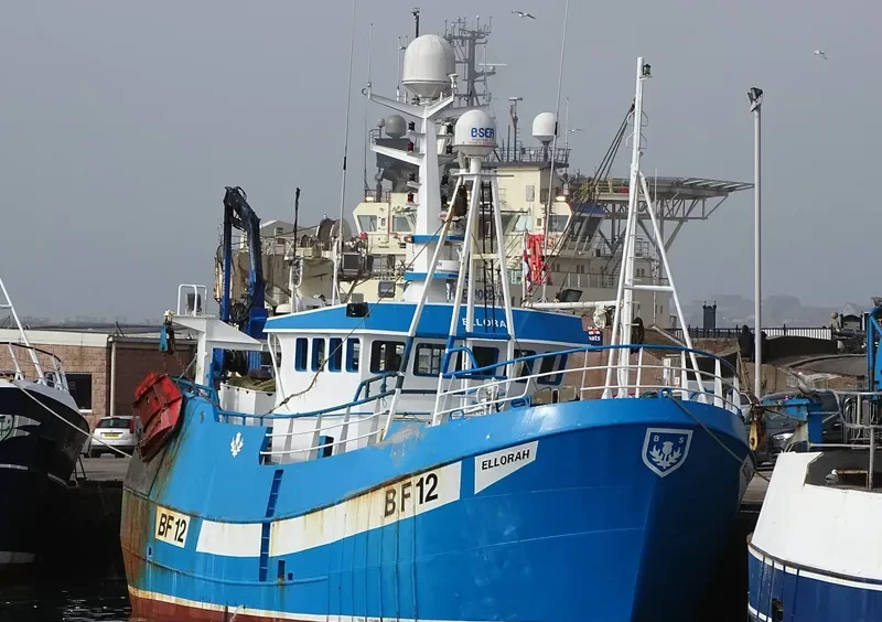 ELLORAH General Cargo IMO 9514614 photo 8