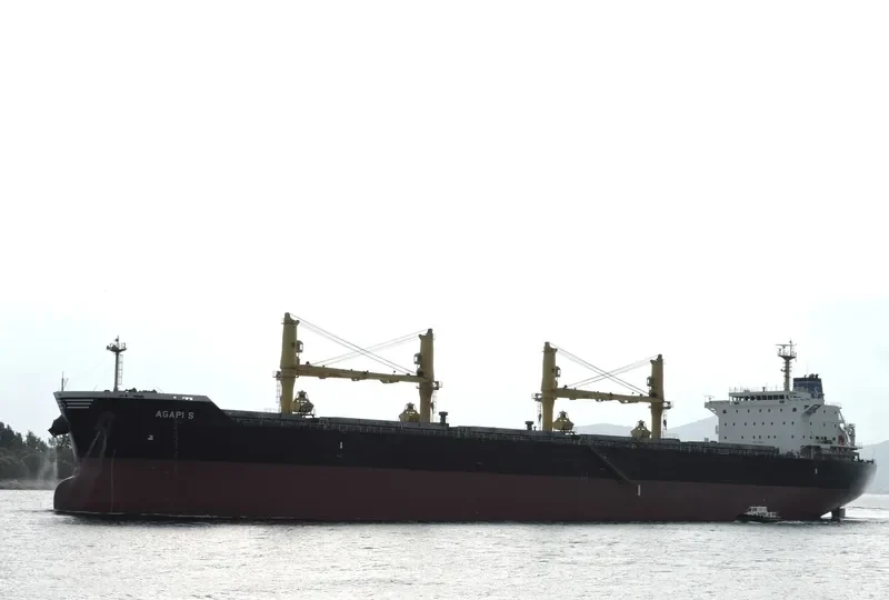 AGAPI S Bulk Carrier IMO 9514822 photo 3