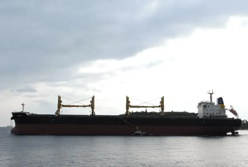 AGAPI S Bulk Carrier IMO 9514822 photo 4