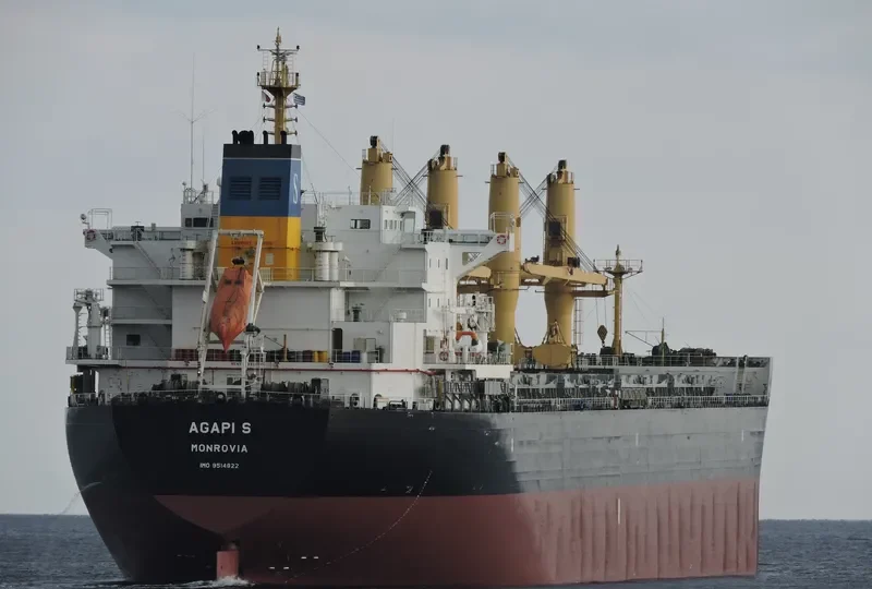 AGAPI S Bulk Carrier IMO 9514822 photo 6
