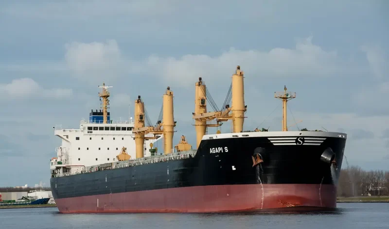 AGAPI S Bulk Carrier IMO 9514822 photo 7