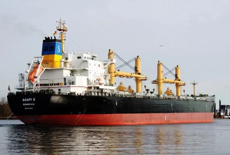 AGAPI S Bulk Carrier IMO 9514822 photo 9