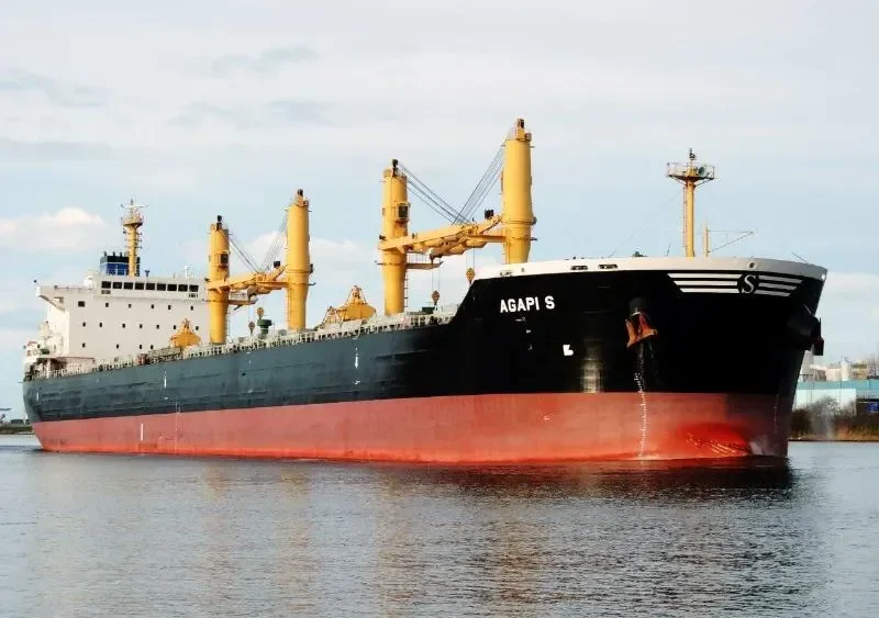 AGAPI S Bulk Carrier IMO 9514822 photo 10
