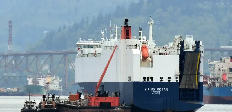 VIKING OCEAN General Cargo IMO 9514999