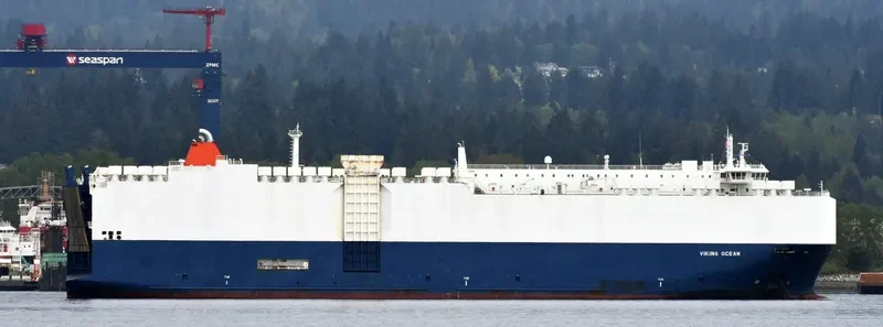 VIKING OCEAN General Cargo IMO 9514999 photo 3