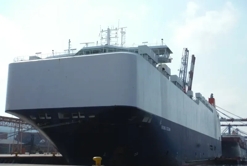VIKING OCEAN General Cargo IMO 9514999 photo 5