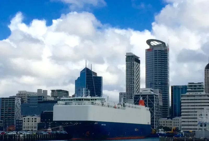 VIKING OCEAN General Cargo IMO 9514999 photo 8
