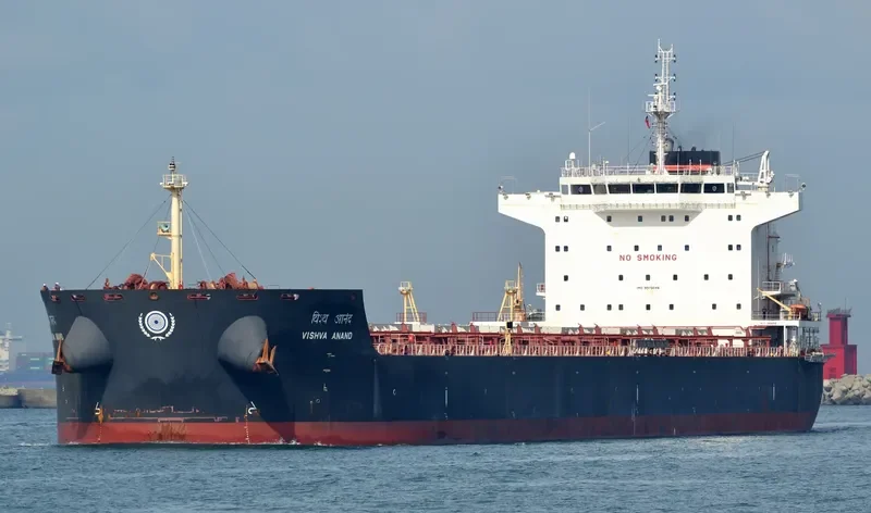 VISHVA ANAND Bulk Carrier IMO 9515046 photo 2