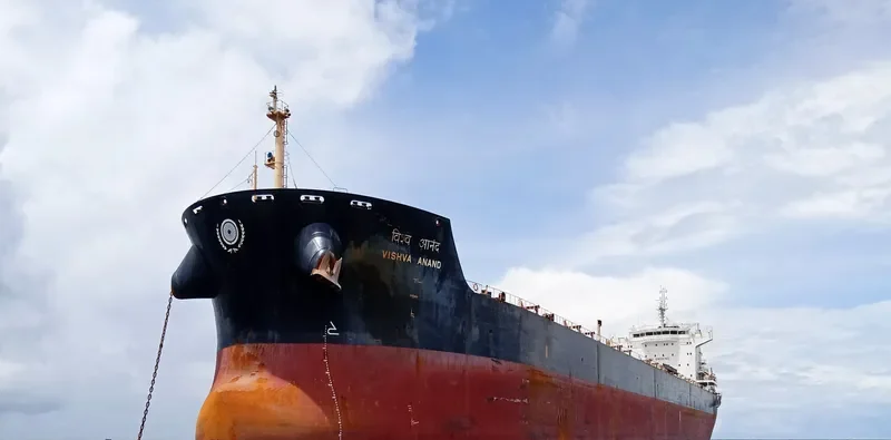 VISHVA ANAND Bulk Carrier IMO 9515046 photo 7