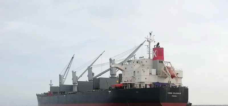 VIRGO COLOSSUS Bulk Carrier IMO 9515096
