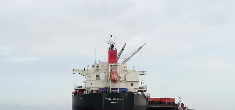 VIRGO COLOSSUS Bulk Carrier IMO 9515096 photo 2