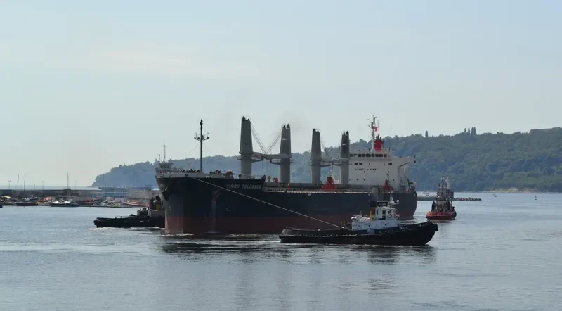 VIRGO COLOSSUS Bulk Carrier IMO 9515096 photo 3