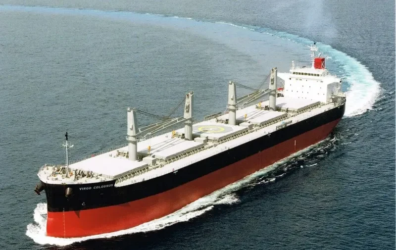 VIRGO COLOSSUS Bulk Carrier IMO 9515096 photo 5
