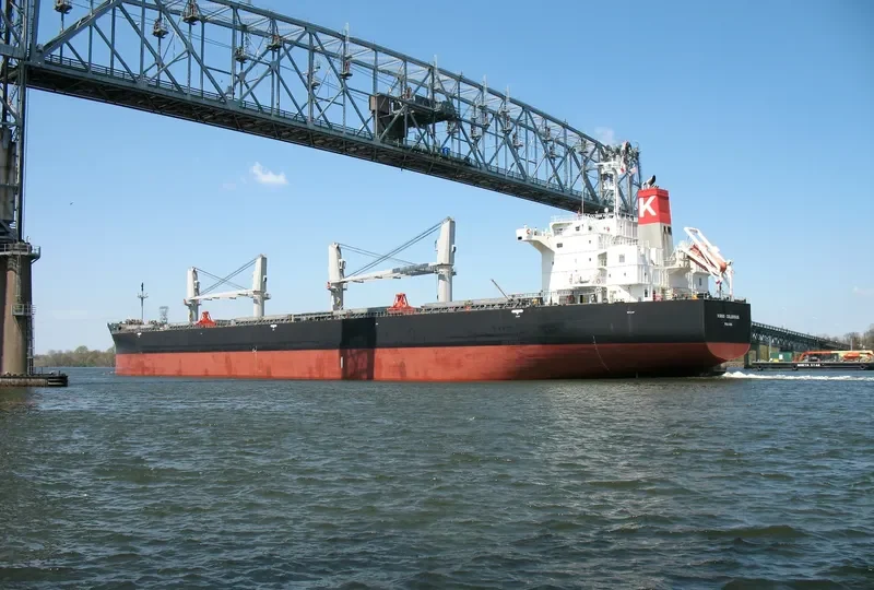 VIRGO COLOSSUS Bulk Carrier IMO 9515096 photo 6