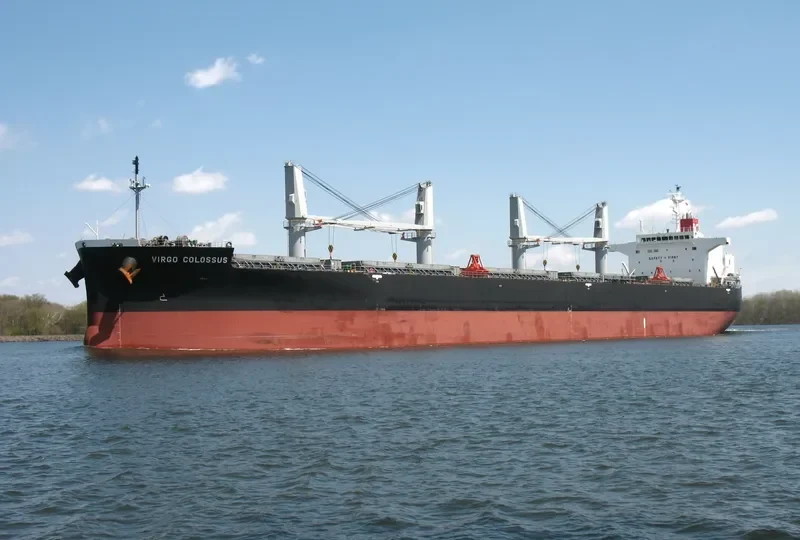 VIRGO COLOSSUS Bulk Carrier IMO 9515096 photo 7