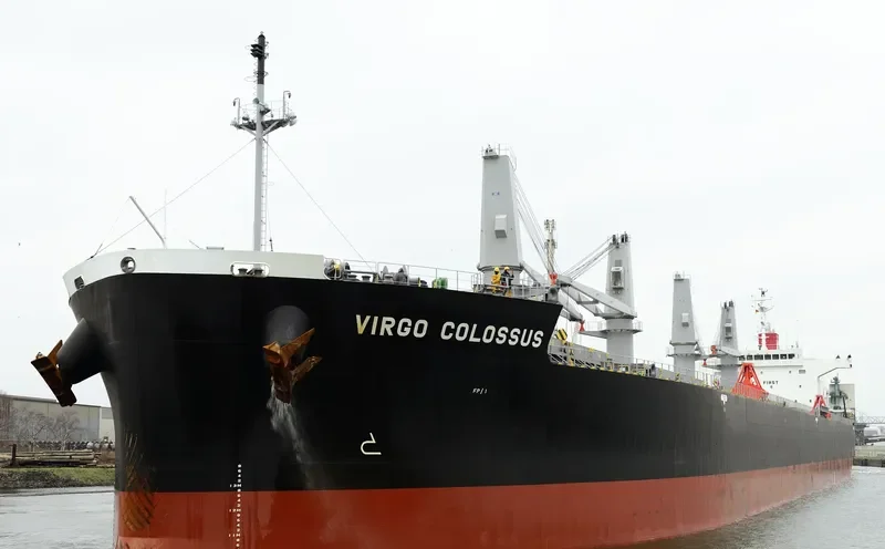 VIRGO COLOSSUS Bulk Carrier IMO 9515096 photo 9