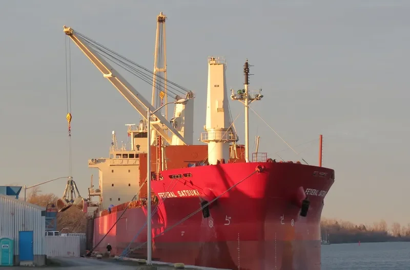 FEDERAL SATSUKI Bulk Carrier IMO 9515101 photo 2