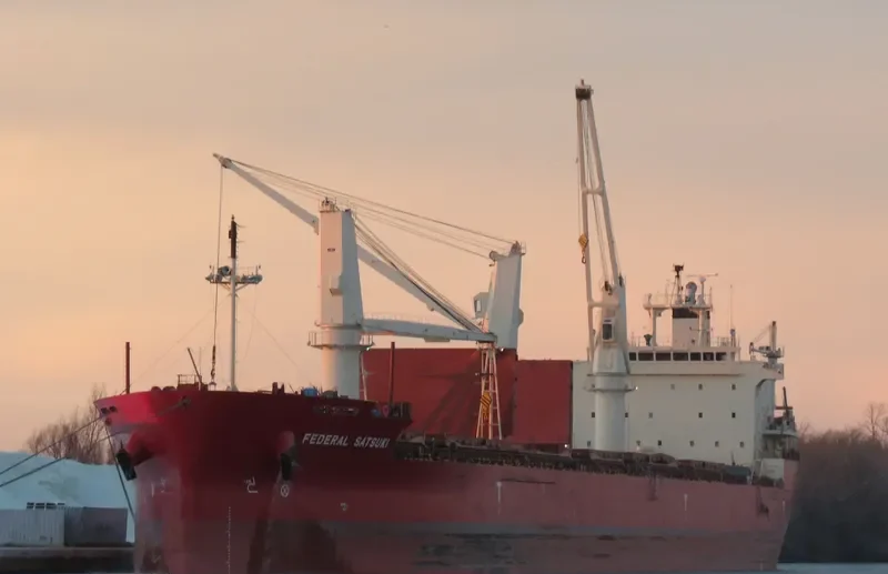 FEDERAL SATSUKI Bulk Carrier IMO 9515101 photo 4