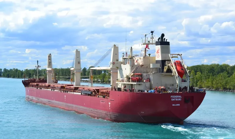 FEDERAL SATSUKI Bulk Carrier IMO 9515101 photo 6