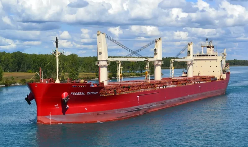 FEDERAL SATSUKI Bulk Carrier IMO 9515101 photo 7