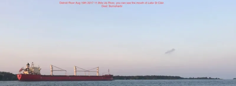 FEDERAL SATSUKI Bulk Carrier IMO 9515101 photo 8