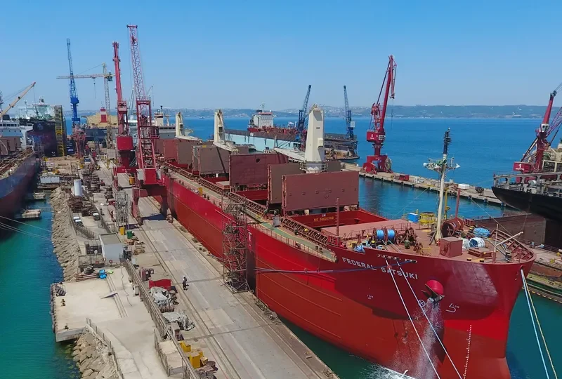 FEDERAL SATSUKI Bulk Carrier IMO 9515101 photo 9
