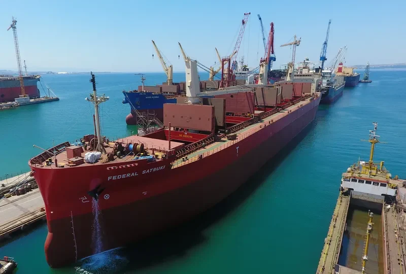 FEDERAL SATSUKI Bulk Carrier IMO 9515101 photo 10