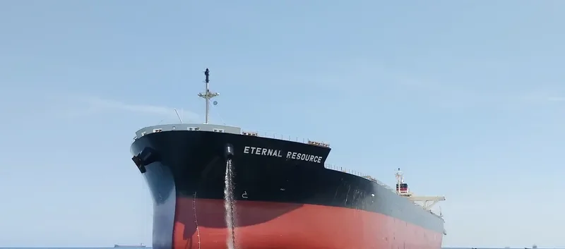 ETERNAL RESOURCE Bulk Carrier IMO 9515187