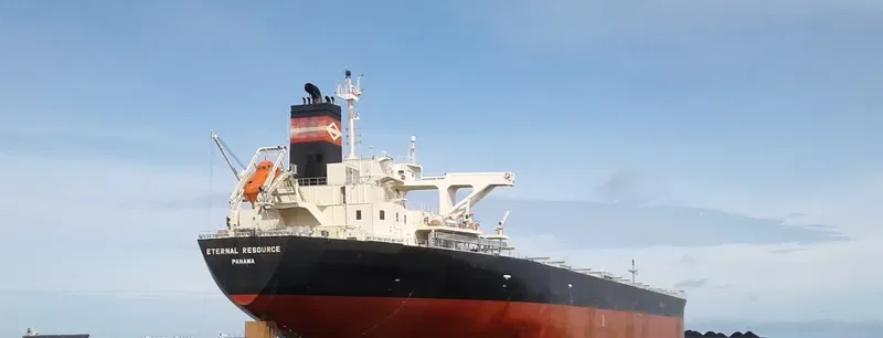 ETERNAL RESOURCE Bulk Carrier IMO 9515187 photo 5
