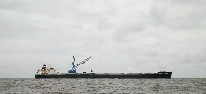ETERNAL RESOURCE Bulk Carrier IMO 9515187 photo 6